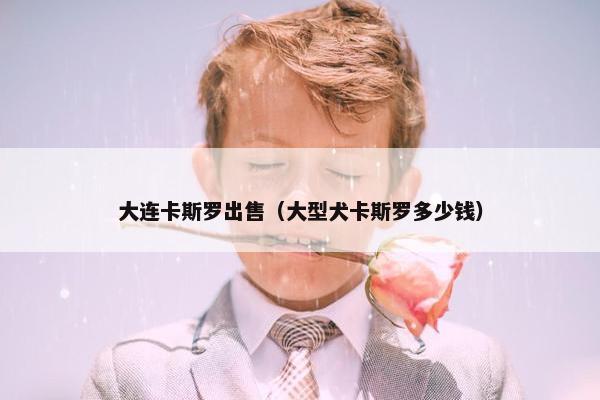 大连卡斯罗出售（大型犬卡斯罗多少钱）
