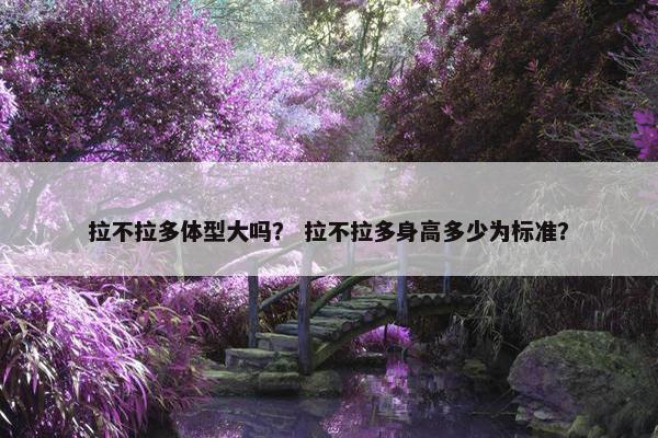 拉不拉多体型大吗？ 拉不拉多身高多少为标准？
