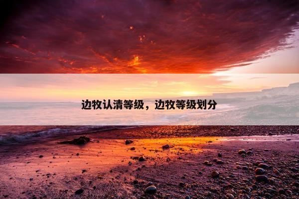 边牧认清等级，边牧等级划分