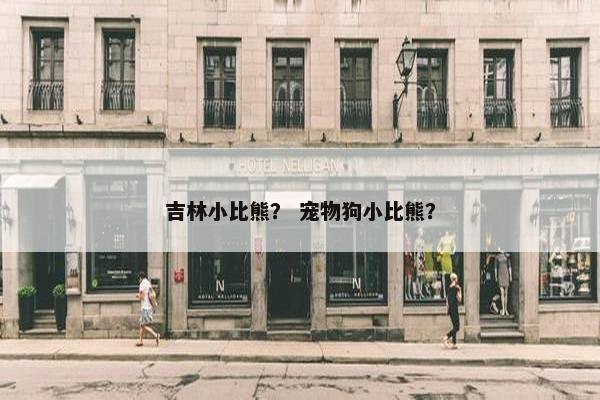 吉林小比熊？ 宠物狗小比熊？