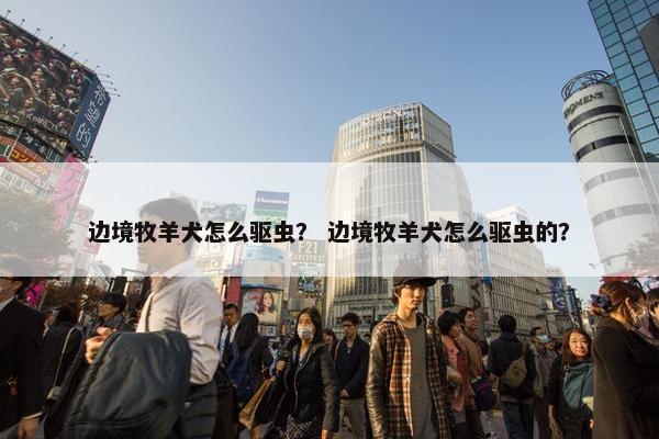 边境牧羊犬怎么驱虫？ 边境牧羊犬怎么驱虫的？