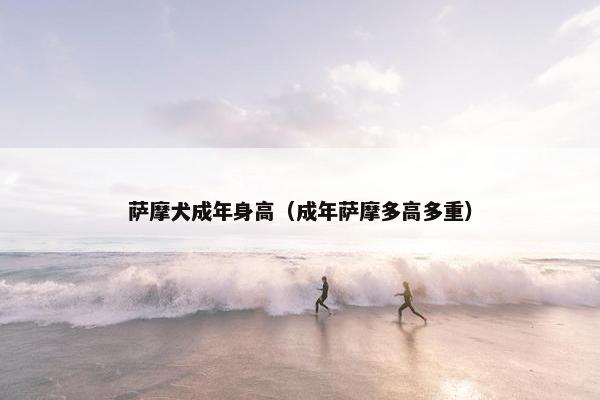 萨摩犬成年身高（成年萨摩多高多重）