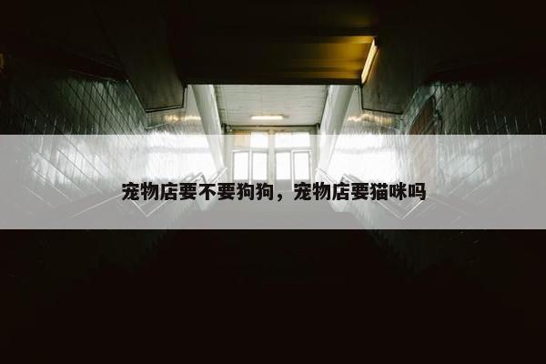 宠物店要不要狗狗，宠物店要猫咪吗