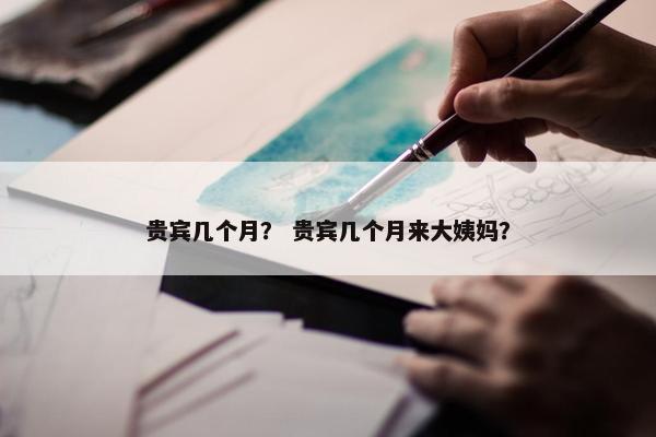 贵宾几个月？ 贵宾几个月来大姨妈？