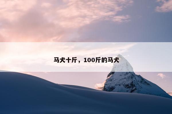 马犬十斤，100斤的马犬