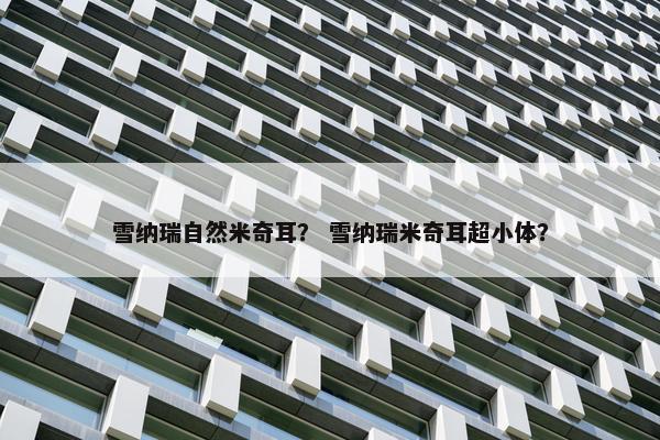 雪纳瑞自然米奇耳？ 雪纳瑞米奇耳超小体？
