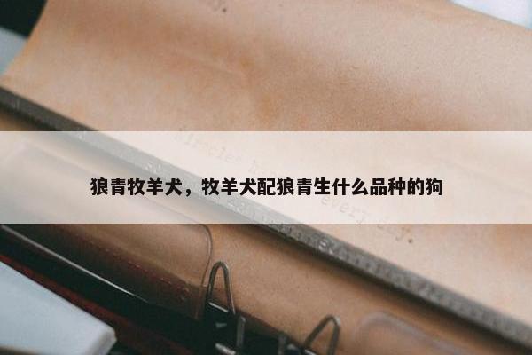 狼青牧羊犬，牧羊犬配狼青生什么品种的狗