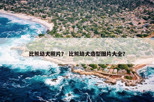 比熊幼犬照片？ 比熊幼犬造型图片大全？