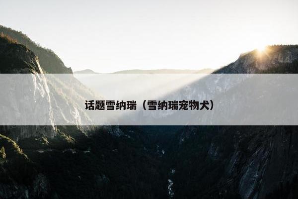 话题雪纳瑞（雪纳瑞宠物犬）