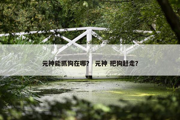 元神能抓狗在哪？ 元神 把狗赶走？