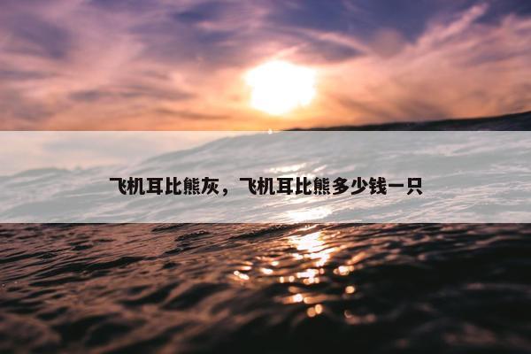 飞机耳比熊灰，飞机耳比熊多少钱一只