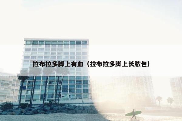 拉布拉多脚上有血（拉布拉多脚上长脓包）