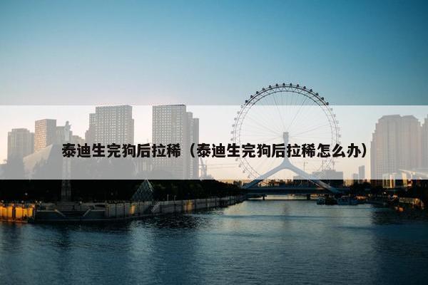 泰迪生完狗后拉稀（泰迪生完狗后拉稀怎么办）