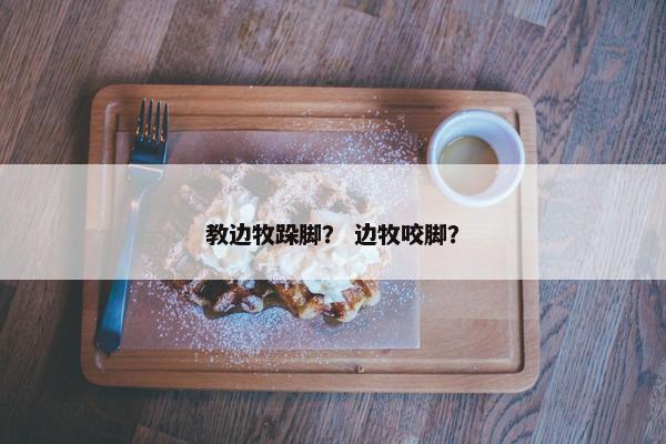 教边牧跺脚？ 边牧咬脚？