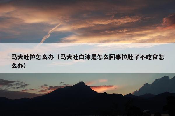 马犬吐拉怎么办(马犬吐白沫是怎么回事拉肚子不吃食怎么办)