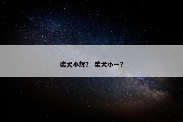 社会