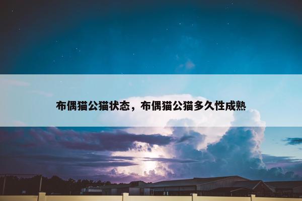 布偶猫公猫状态，布偶猫公猫多久性成熟