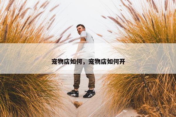 宠物店如何，宠物店如何开