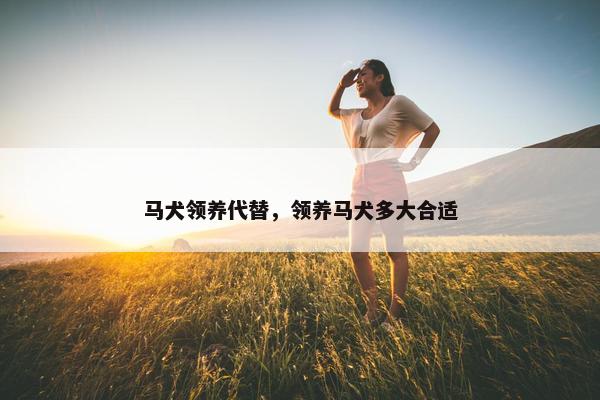 马犬领养代替，领养马犬多大合适