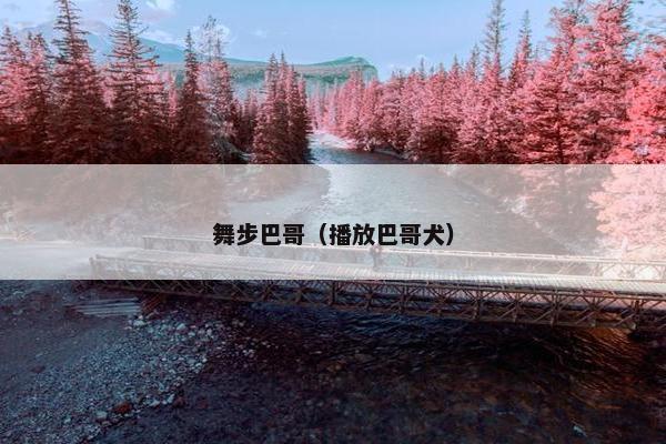 火箭队