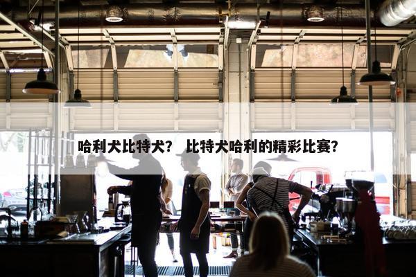 哈利犬比特犬？ 比特犬哈利的精彩比赛？