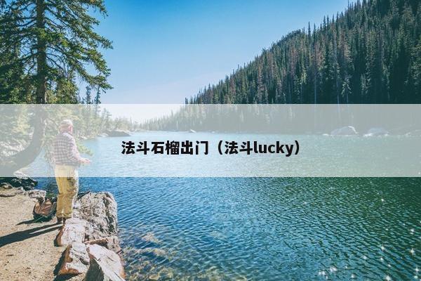 法斗石榴出门（法斗lucky）