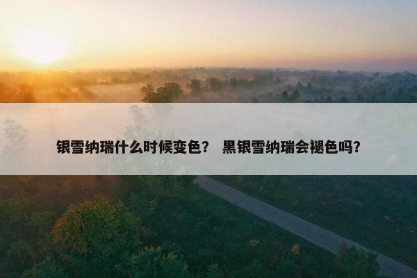 银雪纳瑞什么时候变色？ 黑银雪纳瑞会褪色吗？