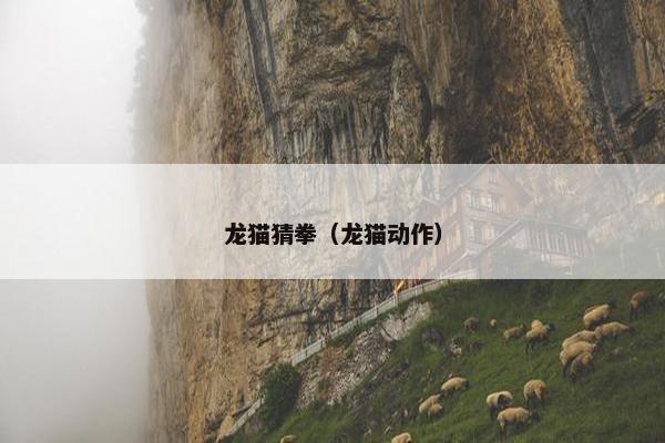 龙猫猜拳（龙猫动作）
