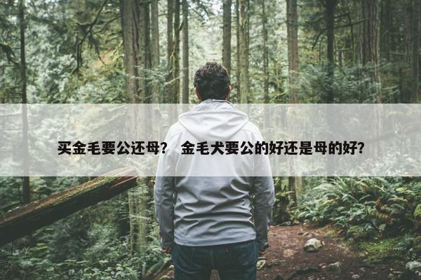 买金毛要公还母？ 金毛犬要公的好还是母的好？