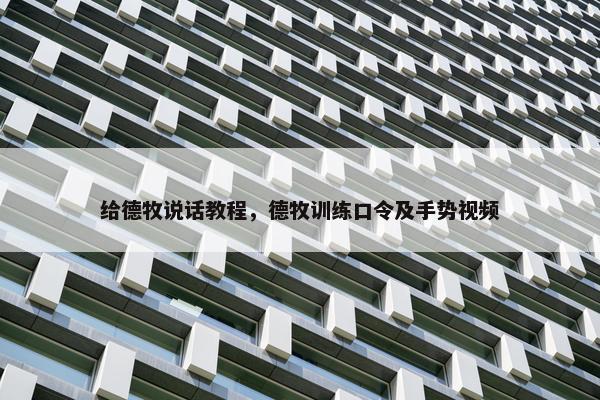 给德牧说话教程，德牧训练口令及手势视频