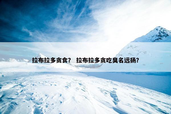 拉布拉多贪食？ 拉布拉多贪吃臭名远扬？