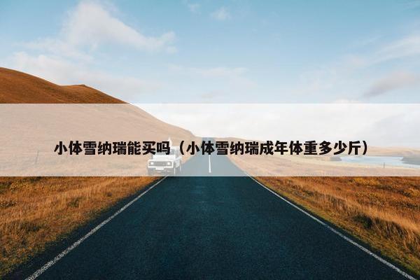 小体雪纳瑞能买吗（小体雪纳瑞成年体重多少斤）
