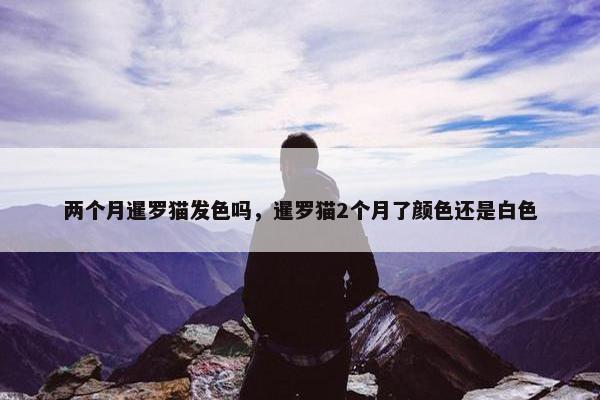 两个月暹罗猫发色吗，暹罗猫2个月了颜色还是白色