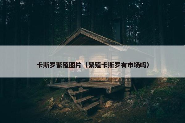 卡斯罗繁殖图片（繁殖卡斯罗有市场吗）