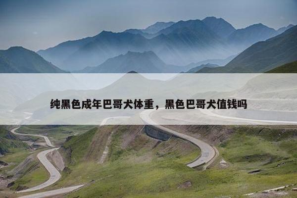 纯黑色成年巴哥犬体重，黑色巴哥犬值钱吗