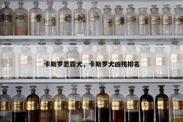 卡斯罗恶霸犬，卡斯罗犬凶残排名