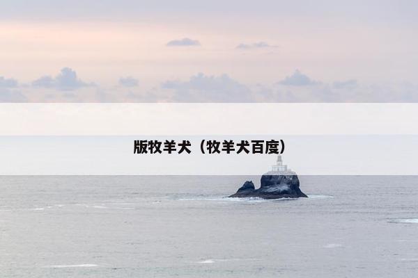 版牧羊犬（牧羊犬百度）