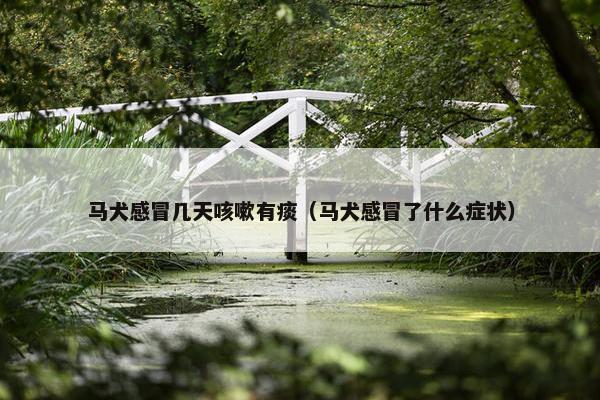 马犬感冒几天咳嗽有痰(马犬感冒了什么症状)