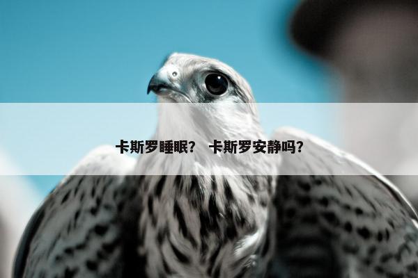 卡斯罗睡眠？ 卡斯罗安静吗？