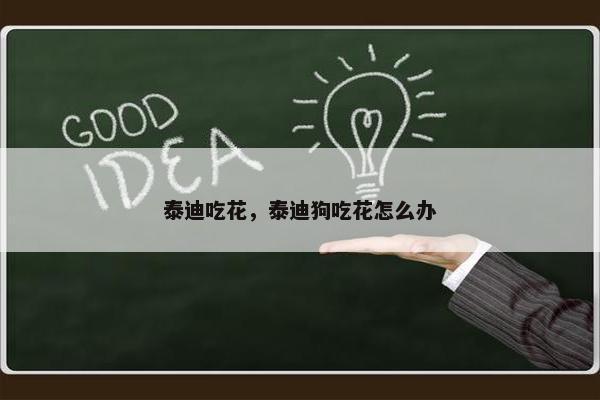 泰迪吃花，泰迪狗吃花怎么办