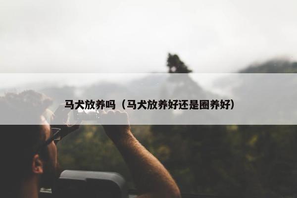 马犬放养吗（马犬放养好还是圈养好）