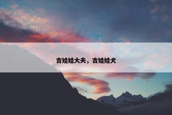 吉娃娃大夫，吉娃娃犬