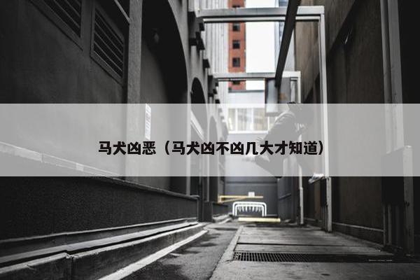 马犬凶恶（马犬凶不凶几大才知道）