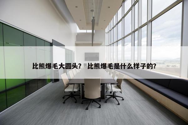 比熊爆毛大圆头？ 比熊爆毛是什么样子的？