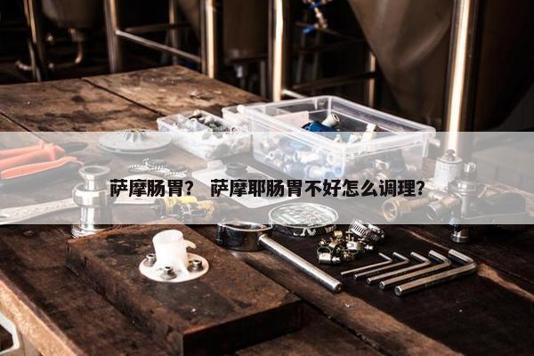 萨摩肠胃？ 萨摩耶肠胃不好怎么调理？