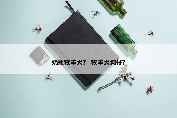 奶瓶牧羊犬？ 牧羊犬狗仔？