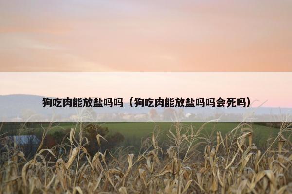 狗吃肉能放盐吗吗（狗吃肉能放盐吗吗会死吗）
