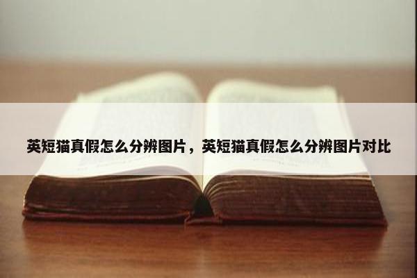 英短猫真假怎么分辨图片，英短猫真假怎么分辨图片对比