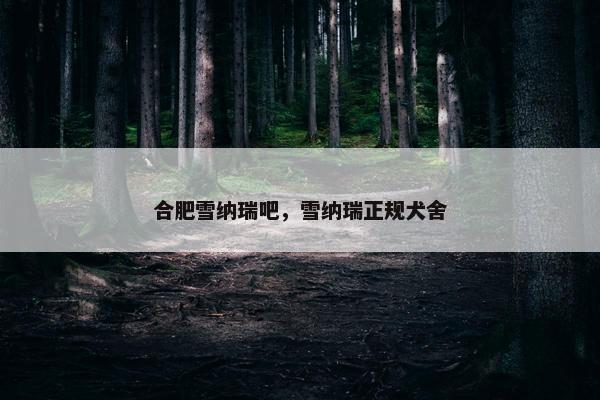 合肥雪纳瑞吧，雪纳瑞正规犬舍