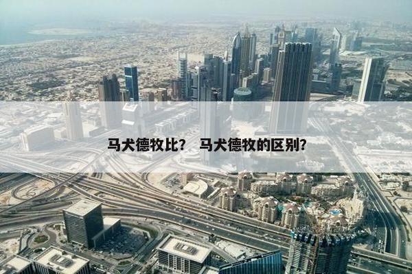 马犬德牧比？ 马犬德牧的区别？